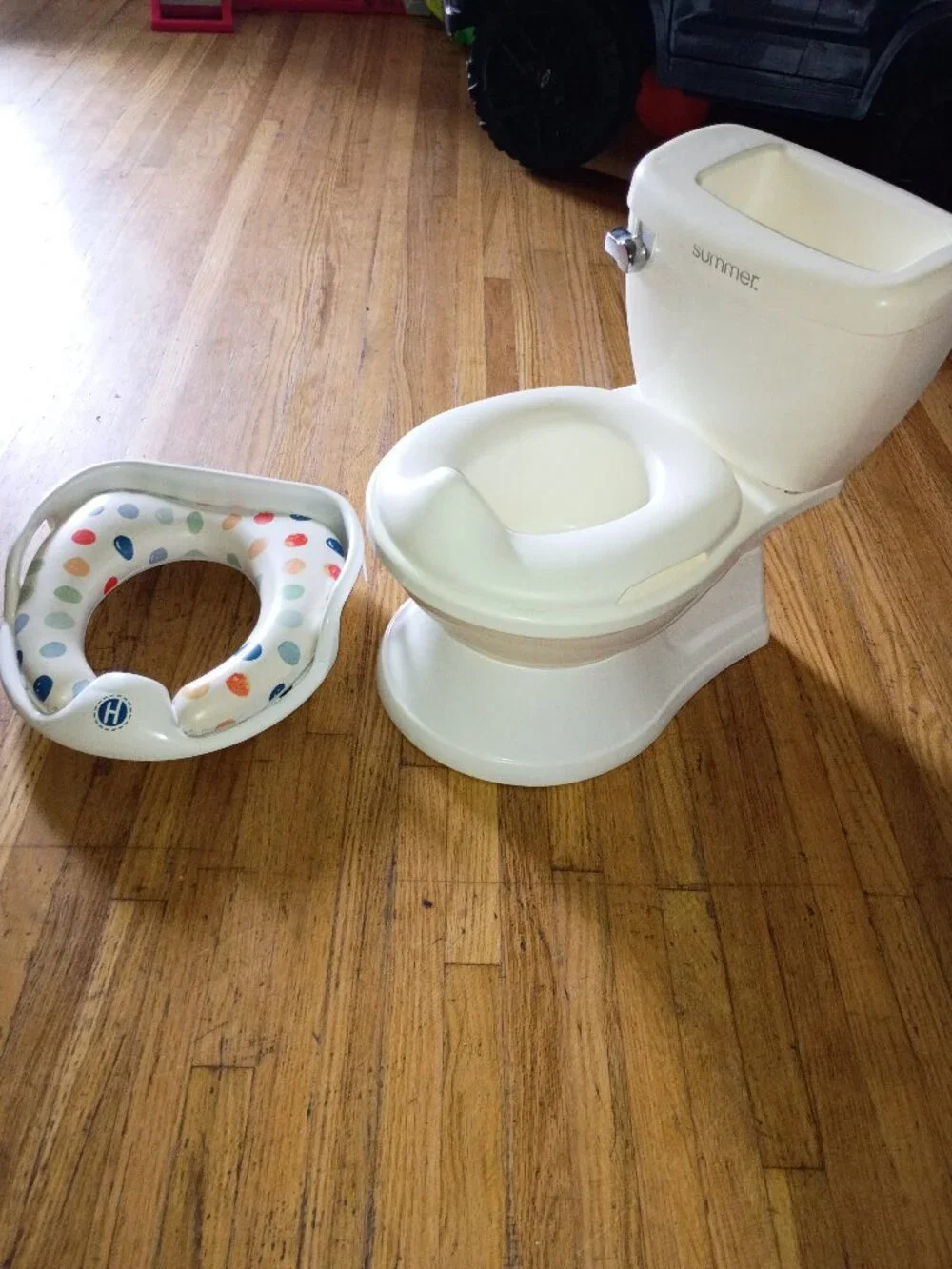 Training potty